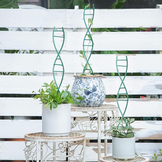 Indoor Plant Trellis - Image 5