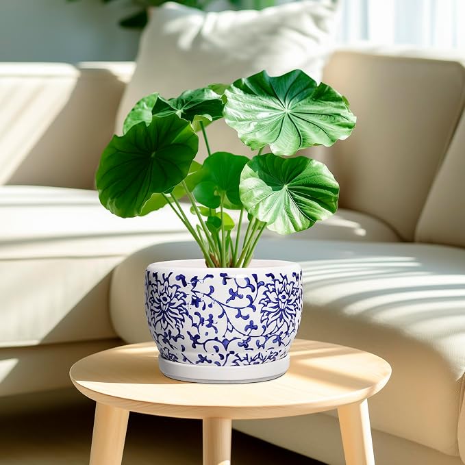 SQOWL Ceramic Pots for Plants - Image 2