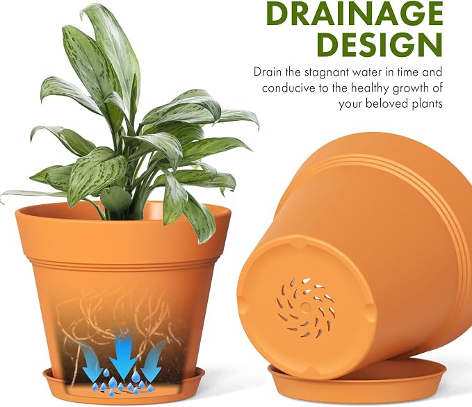 5 Inch Plastic Plant Pots with Drainage Holes and Trays – 6 Pack Small Nursery - Image 4