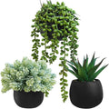 Winlyn Set of 3 Artificial Succulent Plants in Black Concrete Pots Faux Aloe by Winlyn