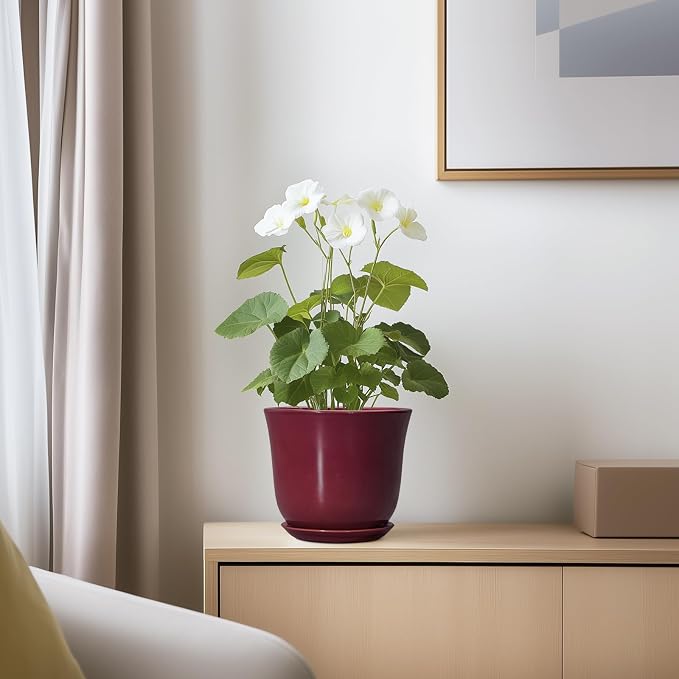 Ceramic Pots for Plants - Image 6