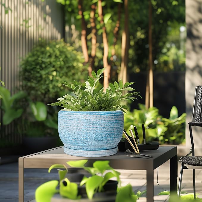 SQOWL Ceramic Plant Pots - Image 5