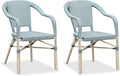 PURPLE LEAF Dining Chair Set of 2 Outdoor French Bistro Chairs Hand-Woven by PURPLELEAF