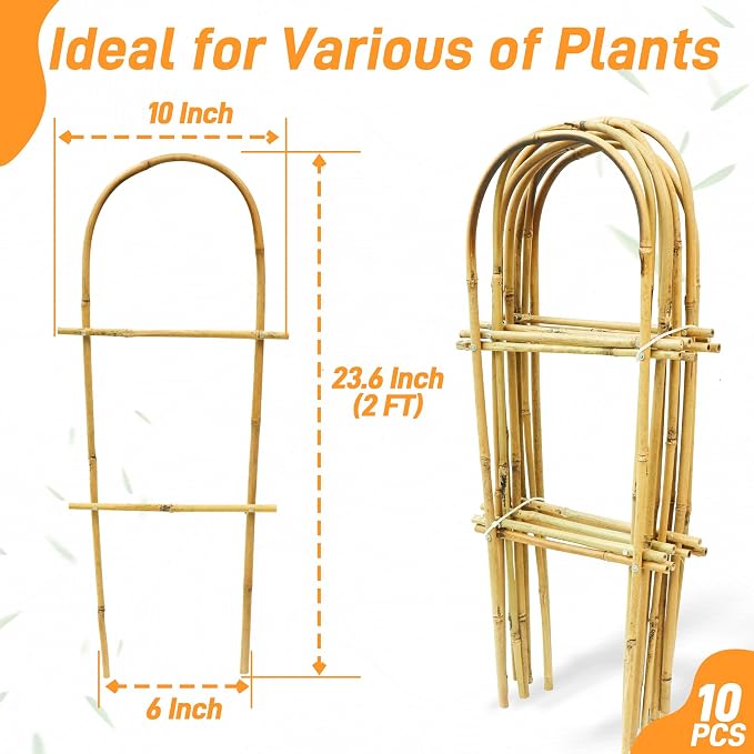 Avalution 10 Pack Bamboo U Trellis - Image 5