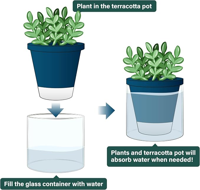 D'vine Dev 4 Inch Design Self Watering Planter - Image 4