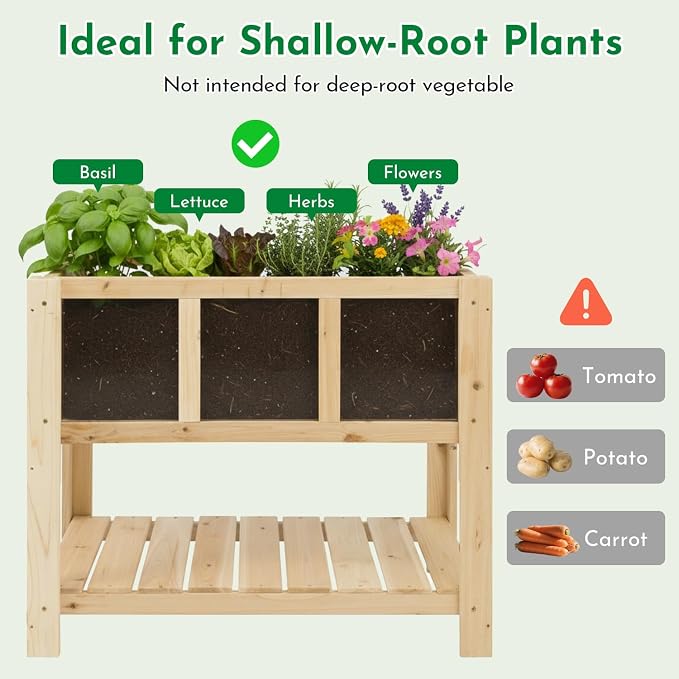 Raised Garden Bed with Transparent Acrylic Side Panels, Elevated Wooden Planter - Image 4