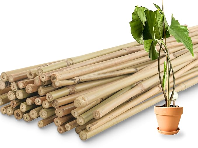 50Pcs / 3ft Bamboo Plant Stakes by Avalution