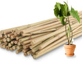 50Pcs / 3ft Bamboo Plant Stakes by Avalution