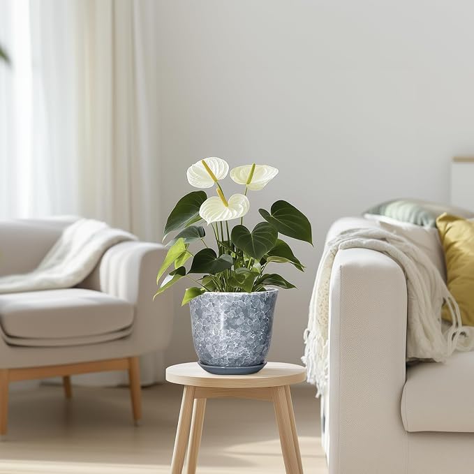 Ceramic Planter - Image 7