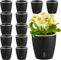 Self Watering Pots for Indoor Plants, Small African Violet Pots by KvyusFlourish