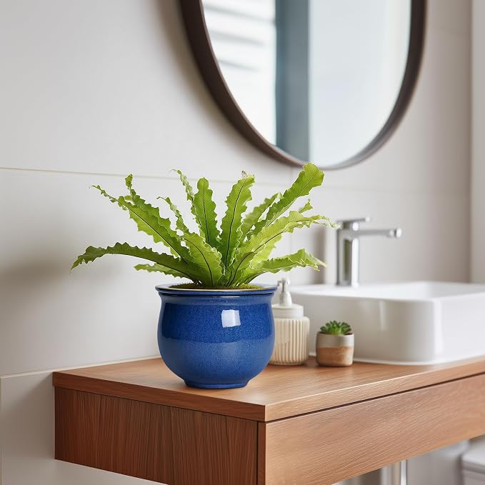 6 Inch Self Watering Pots, Ceramic African Violet Planter - Image 5