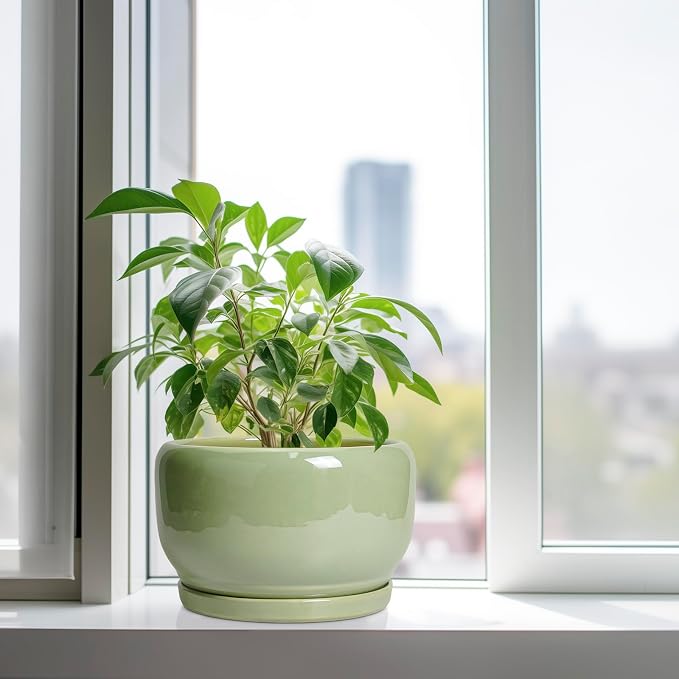 SQOWL Ceramic Planter - Image 4