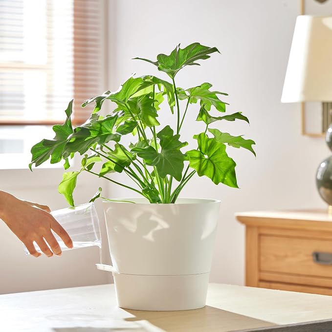 FaithLand 2-Pack 10 Inch Planter Pots - Image 6