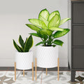 ARNIS Plants Pots with Stand, Unique Mid Century Decorative Metal Flower Pots by ARNIS