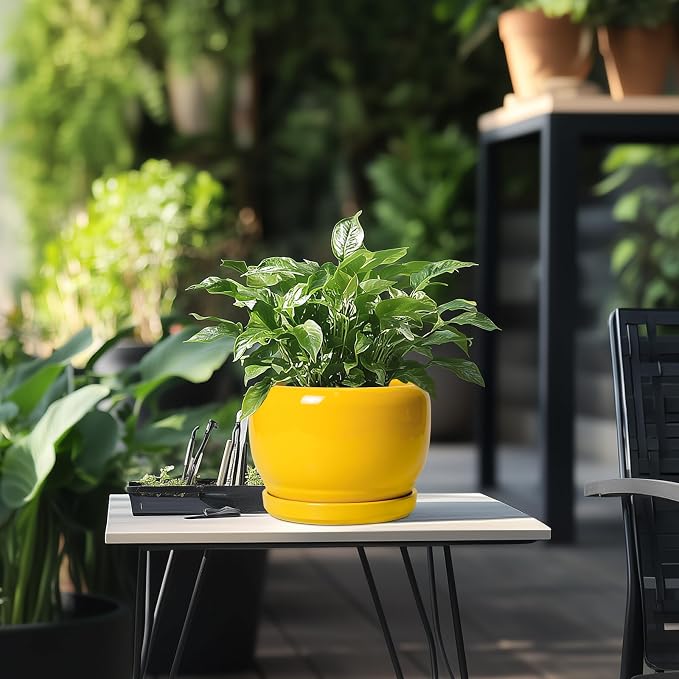 SQOWL Ceramic Plant Pot - Image 5