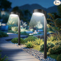 2 Pack Solar Pathway Lights Outdoor, 12 Brighter LED Solar Lights Outdoor by AHAORIGIN