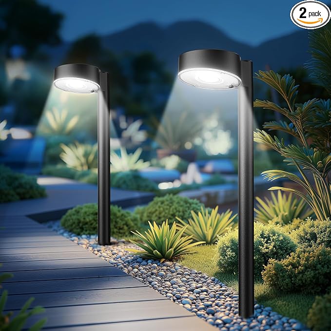 2 Pack Solar Pathway Lights Outdoor, 12 Brighter LED Solar Lights Outdoor by AHAORIGIN