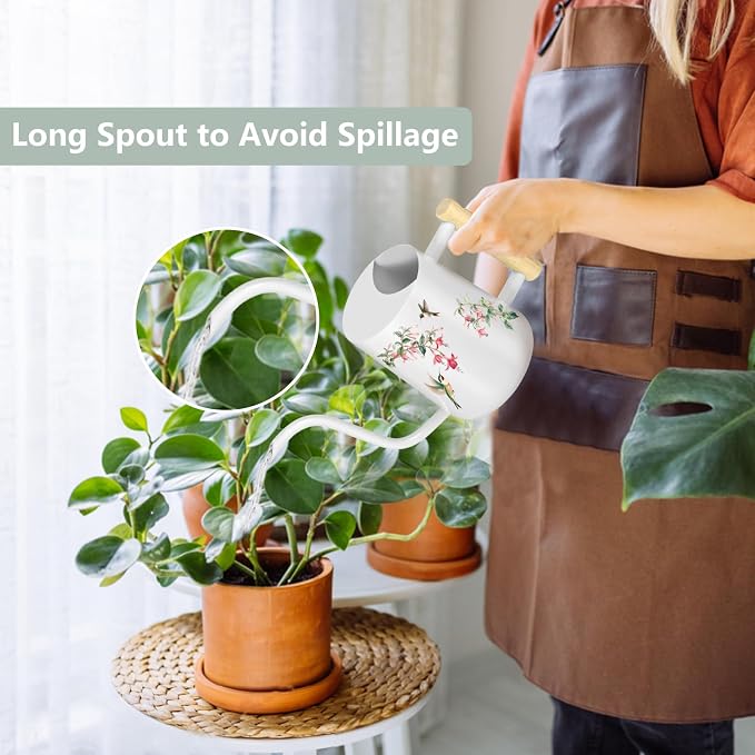 Watering Can Indoor Plants, 35oz Small Stainless Steel Metal Watering Can - Image 2