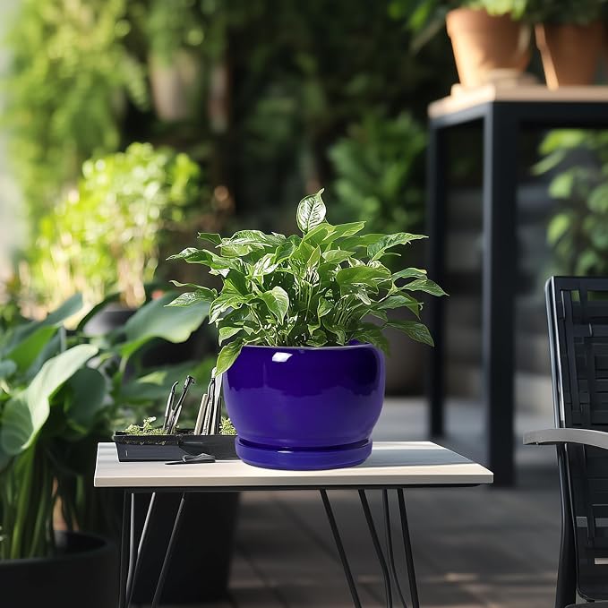 SQOWL 8 Inch Plant Pot - Image 5