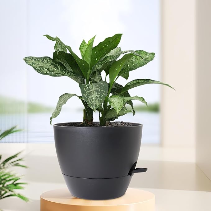 12 inch Large Self Watering Pots - Image 6