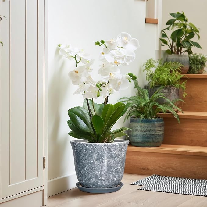 Ceramic Pots for Plants - Image 6