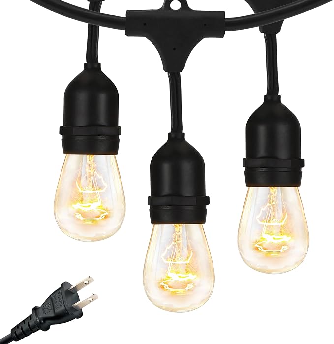 Brightech Ambience Pro Incandescent Outdoor String Lights by Brightech