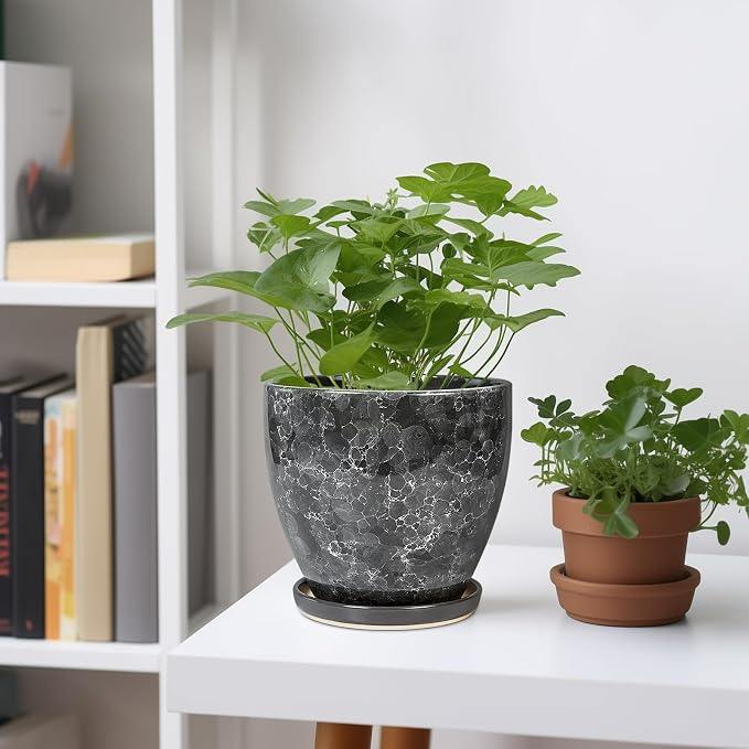 6.3 Inch Plant Pot - Image 2