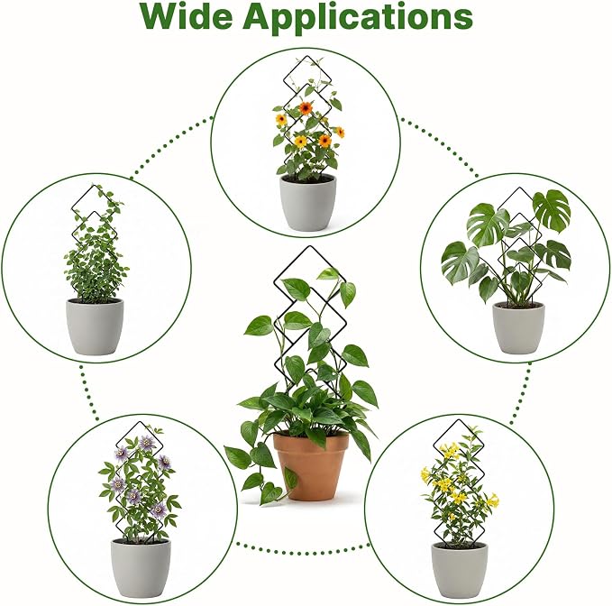Indoor Trellis for Climbing Plants: 3PC Small Garden Metal Trellis for Vine Ivy - Image 7
