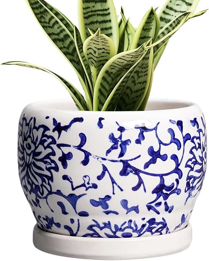 SQOWL 6 Inch Planter by SQOWL