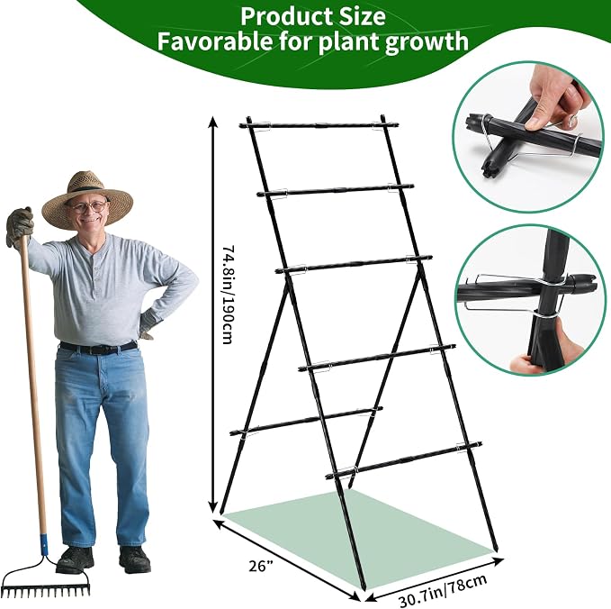 Lalahoni Cucumber Trellis, 6ft Tall Metal Garden Trellis - Image 4