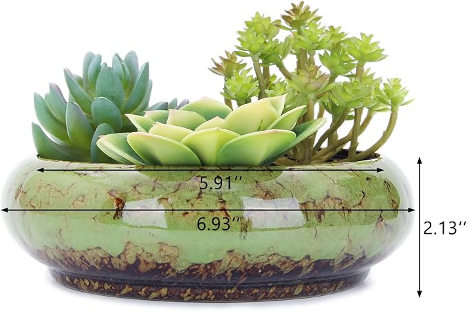 VanEnjoy 7.3 inch Round Large Shallow Succulent Ceramic Glazed Planter Pots - Image 2