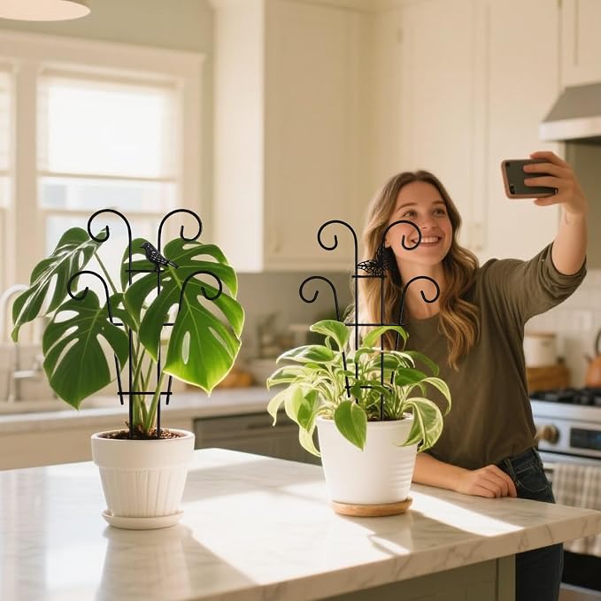 Coomin 14.5 Bird Indoor Plant Trellis - Image 9