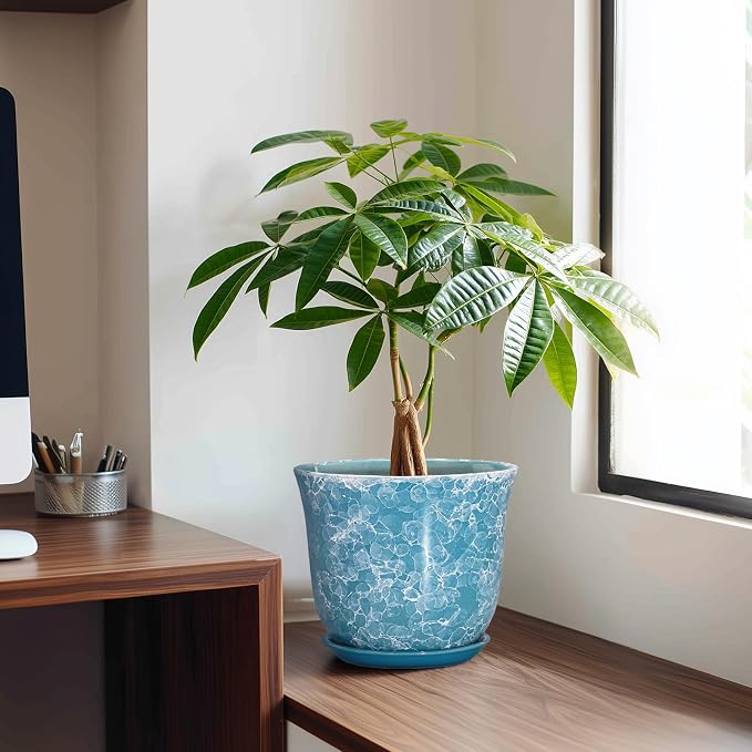 8 Inch Plant Pot - Image 3