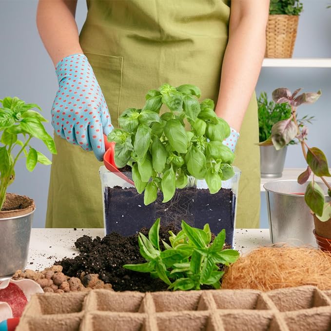 Self Watering Planters - Image 7