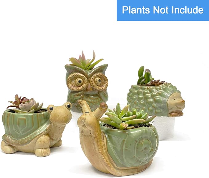 Small Ceramic Succulent Pot - Image 6