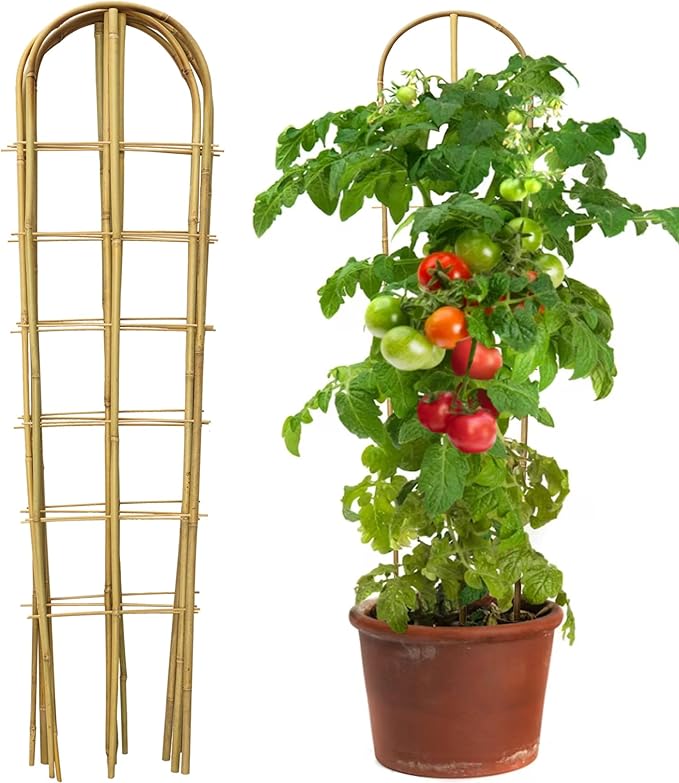5 Pack 4 Feet U-Shape Bamboo Trellis, Natural Bamboo Trellis by Taoskai