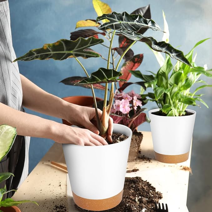 GARDIFE Plant Pots 8/7/6.5/6/5.5/5 Inch Self Watering Planters - Image 6