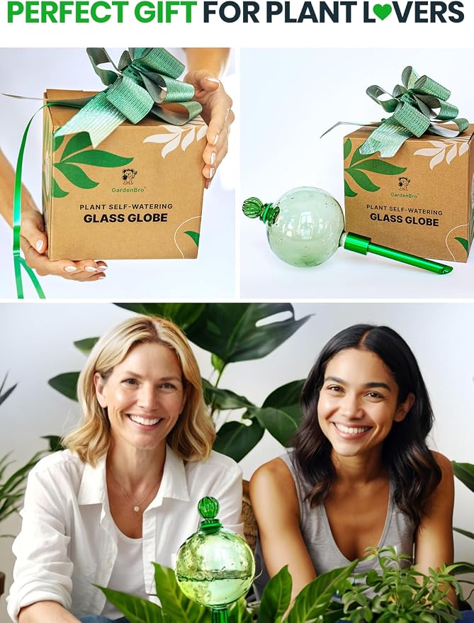 16 Oz Plant Watering Globes for Indoor Plants - Image 6
