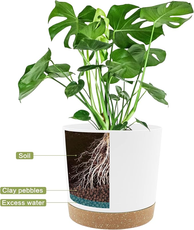 QCQHDU 10 inch Plant Pot, 2 Pack Planters - Image 4