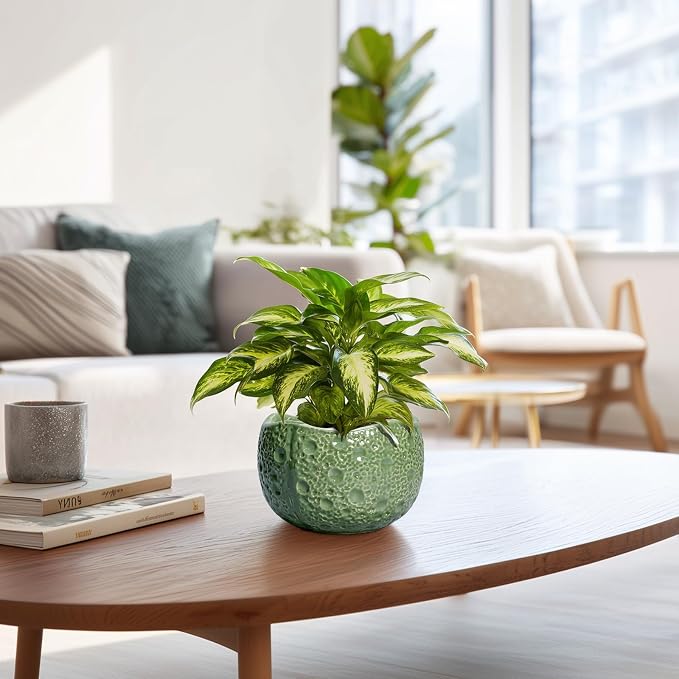 6 Inch Plant Pot - Image 6
