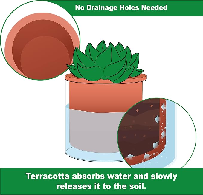 Phoenix Vine 4 Inch Self Watering Plants Pot, Design Terracotta Pot - Image 4