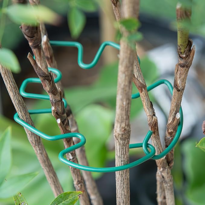 Monstera Plant Stem Support - Image 7