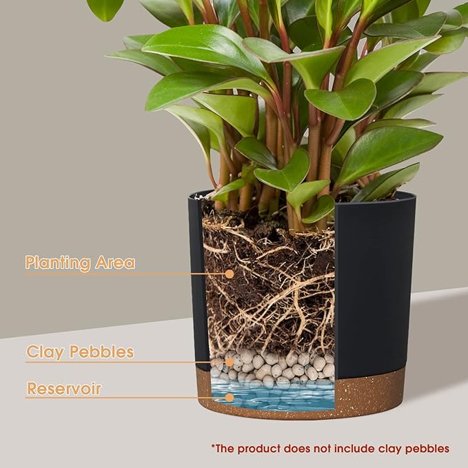 kubvici Plant Pots for Indoor Plants, 2 Pack 8 Inch Plastic Flower Pot Planters - Image 4