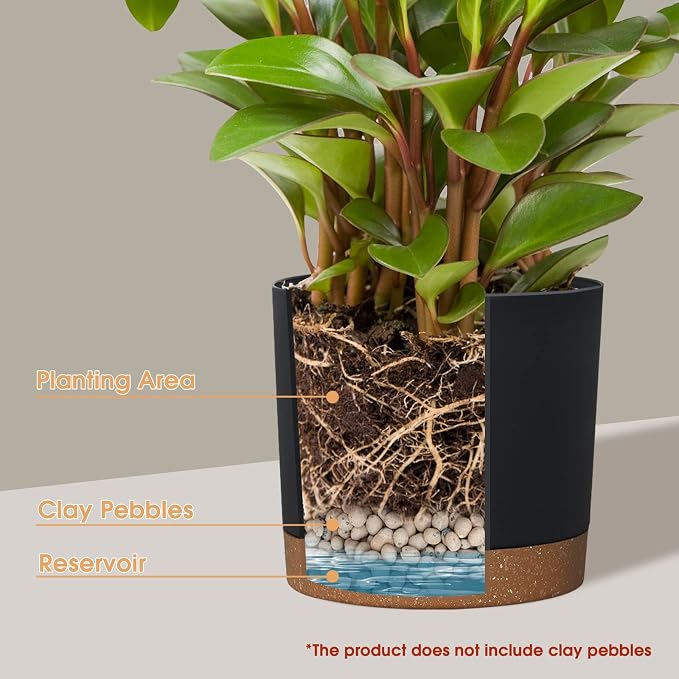 kubvici Plant Pots for Indoor Plants, 2 Pack 12 Inch Pots for Plants, - Image 3