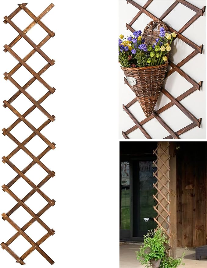 Wooden Lattice Wall-Expandable Plant Garden Trellis by CJGQ