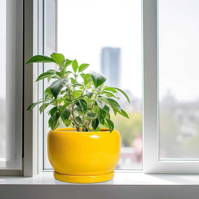 SQOWL 10 Inch Plant Pot - Image 4