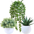 Winlyn Set of 3 Assorted Artificial Succulent Plants in White Concrete Pots by Winlyn