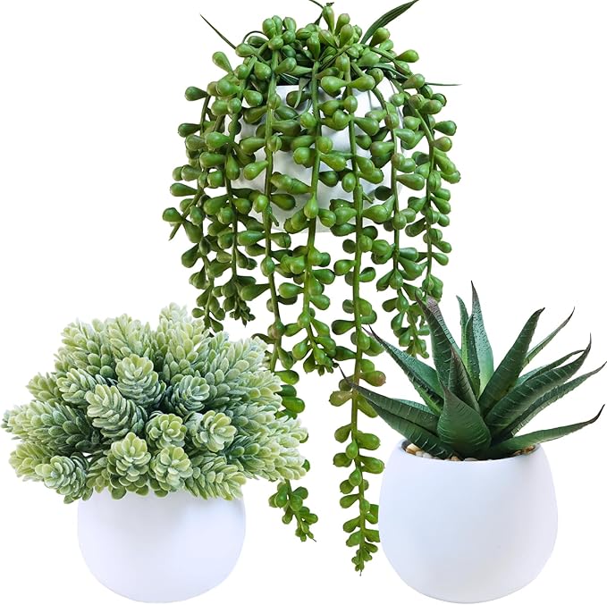 Winlyn Set of 3 Assorted Artificial Succulent Plants in White Concrete Pots by Winlyn