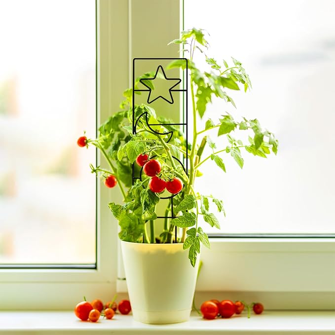 Coomin Small Plant Trellis for Potted Plants, 15in Plant Trellis Indoor - Image 5