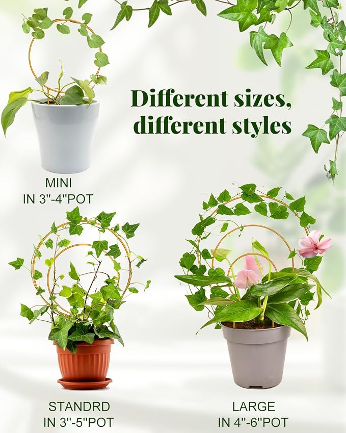 Unique Round Hoya Trellis, Garden Trellis Plant Support - Image 3